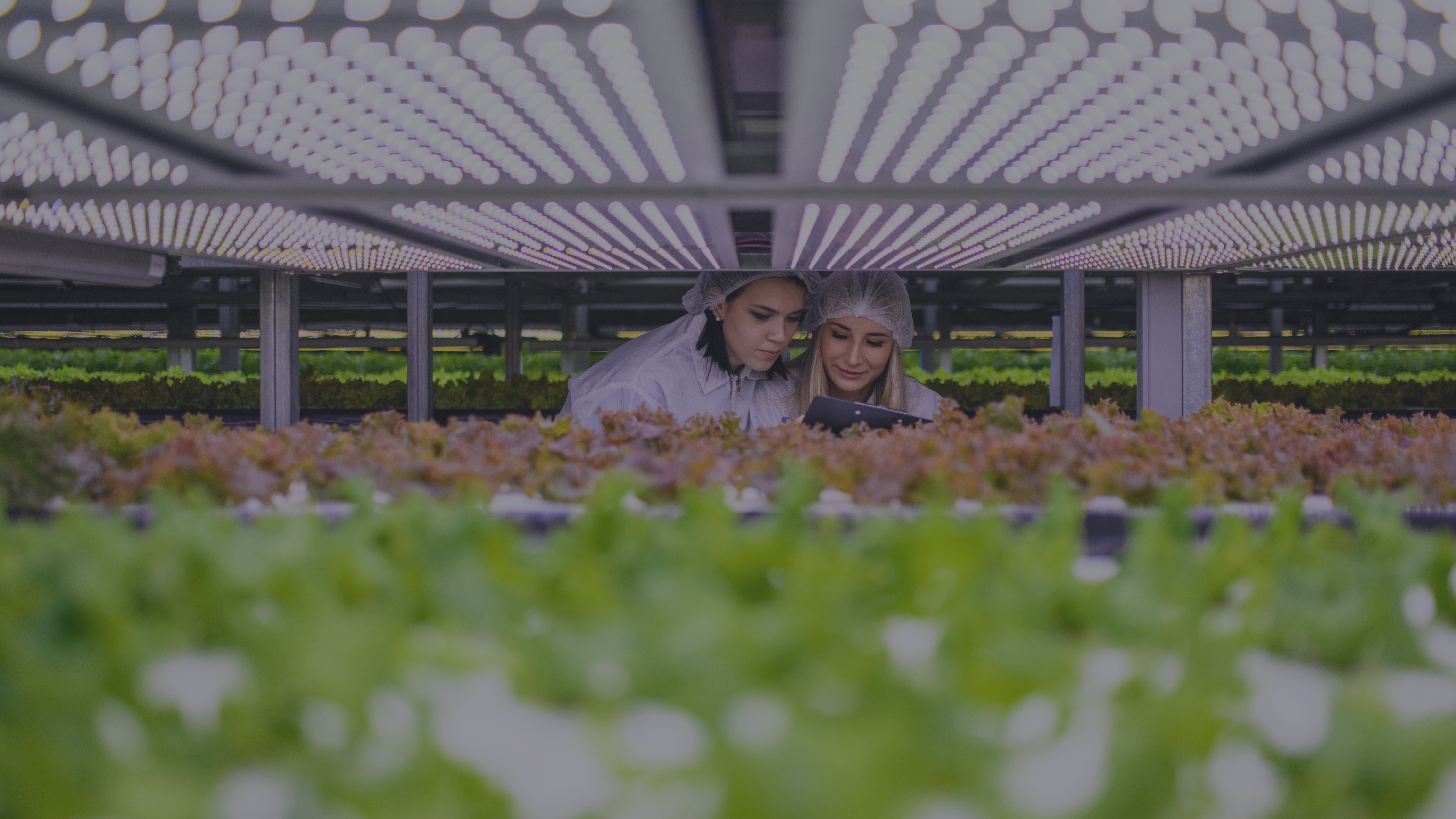 Gestion des compétences